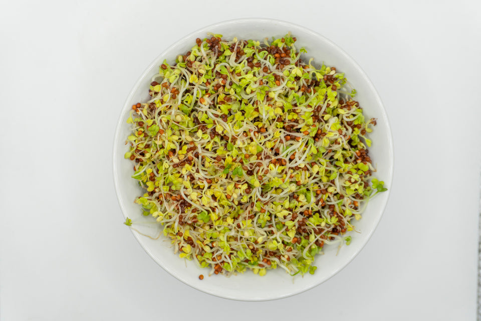 Brown Mustard Organic