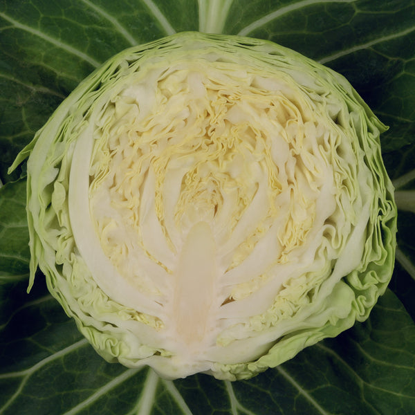 Farao F1 Certified Organic