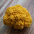 Clementine F1