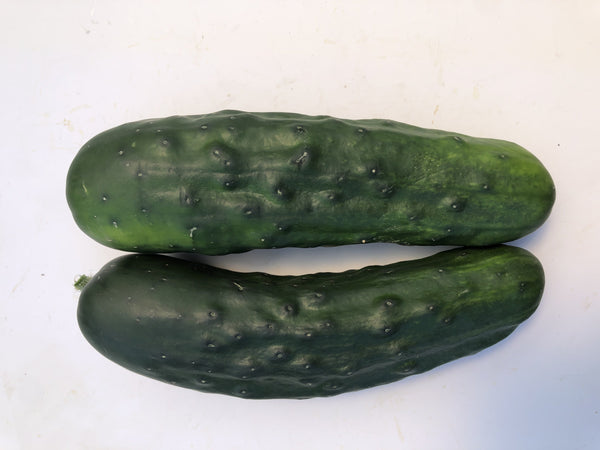 Marketmore 76 Certified Organic