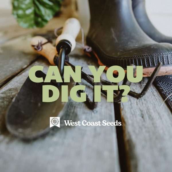 Electronic Gift Card