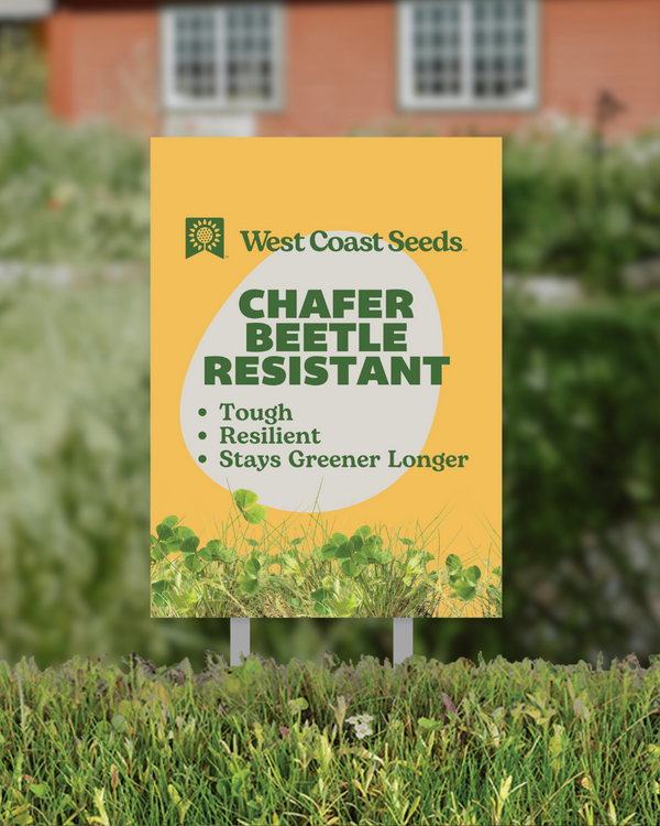 Chafer Beetle Resistant Blend - Lawn Sign