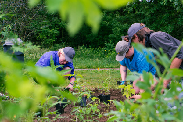 wcs birds canada people working in garden