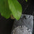 Cultivate the future sweatshirt folded on table with a plant