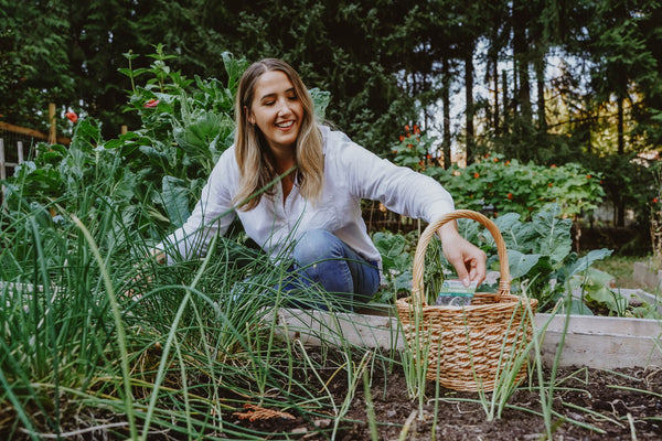 girl in the garden holding a West Coast Seeds packet with a harvesting basket
