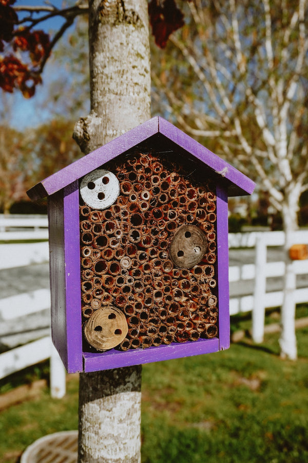 Mason Bee House West Coast Seeds
