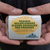 Big Skies, Big Blooms (Prairie Native Wildflowers)