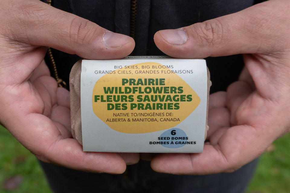Big Skies, Big Blooms (Prairie Native Wildflowers)