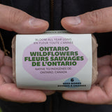 Bloom All Year Long (Ontario Native Wildflowers)