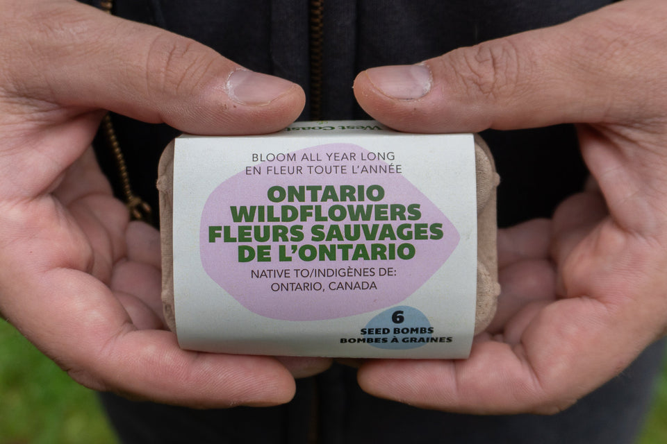 Bloom All Year Long (Ontario Native Wildflowers)