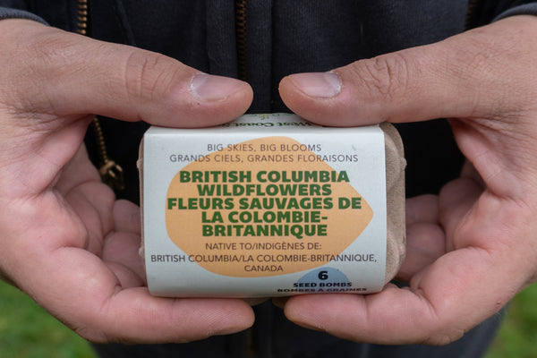 Sea to Sky Blooms (British Columbia Native Wildflowers)