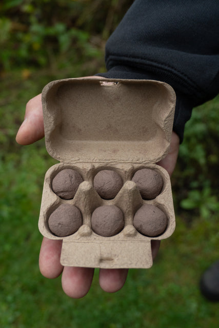 Big Skies, Big Blooms (Prairie Native Wildflowers)