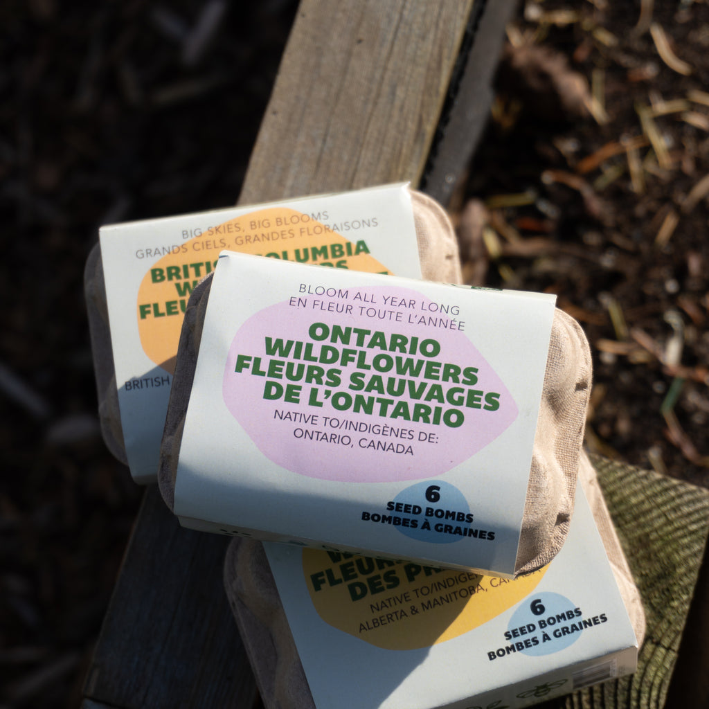 wildflower seeds ontario Bloom All Year Long (Ontario Native Wildflowers) – West Coast Seeds
