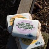 Bloom All Year Long (Ontario Native Wildflowers)