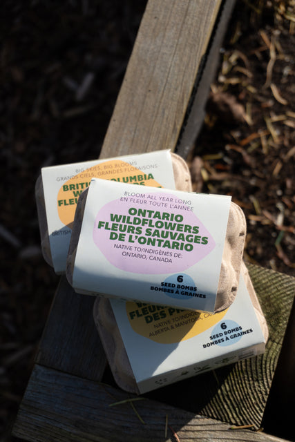 Bloom All Year Long (Ontario Native Wildflowers)