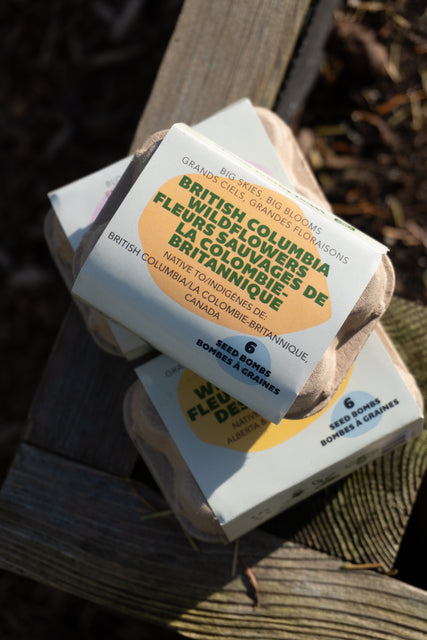 Sea to Sky Blooms (British Columbia Native Wildflowers)