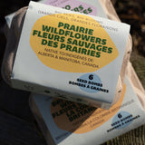 Big Skies, Big Blooms (Prairie Native Wildflowers)