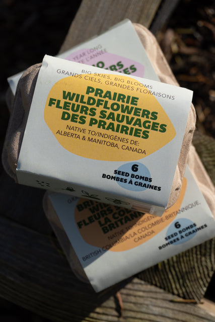 Big Skies, Big Blooms (Prairie Native Wildflowers)