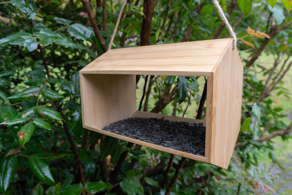 Bamboo Fly In Bird Feeder