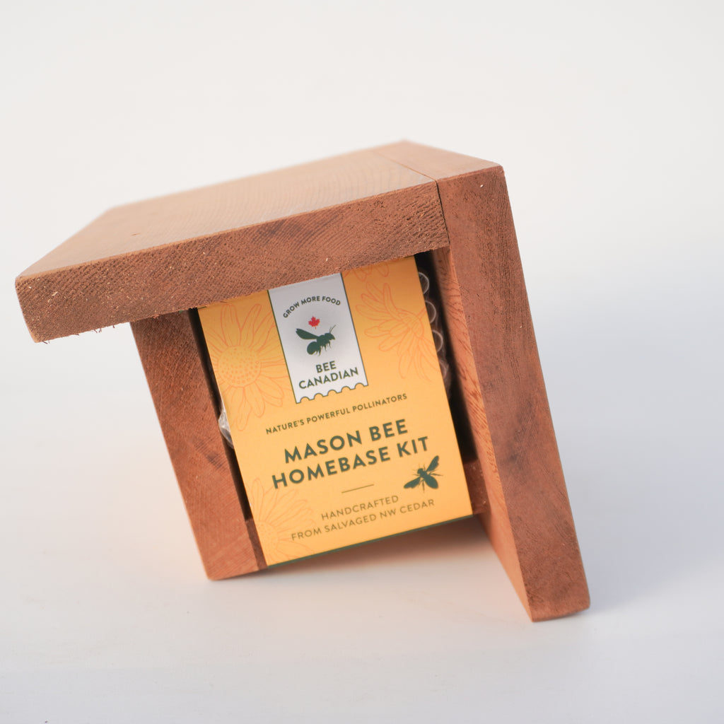 homebase wildflower seeds Homebase Kit – West Coast Seeds