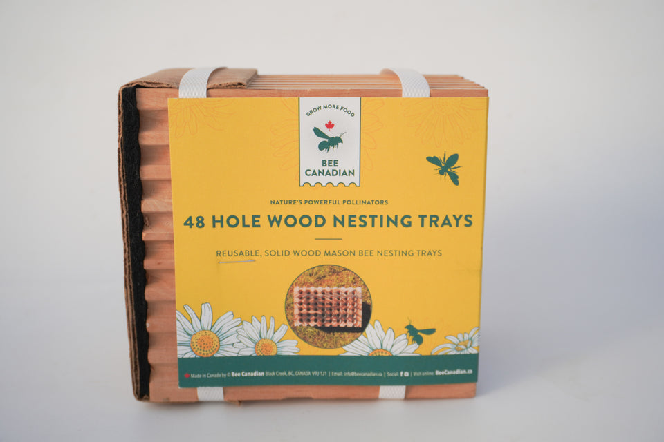 48 Hole Wood Nesting Trays
