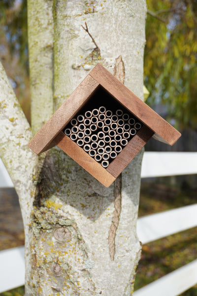 New Mason Bee Products