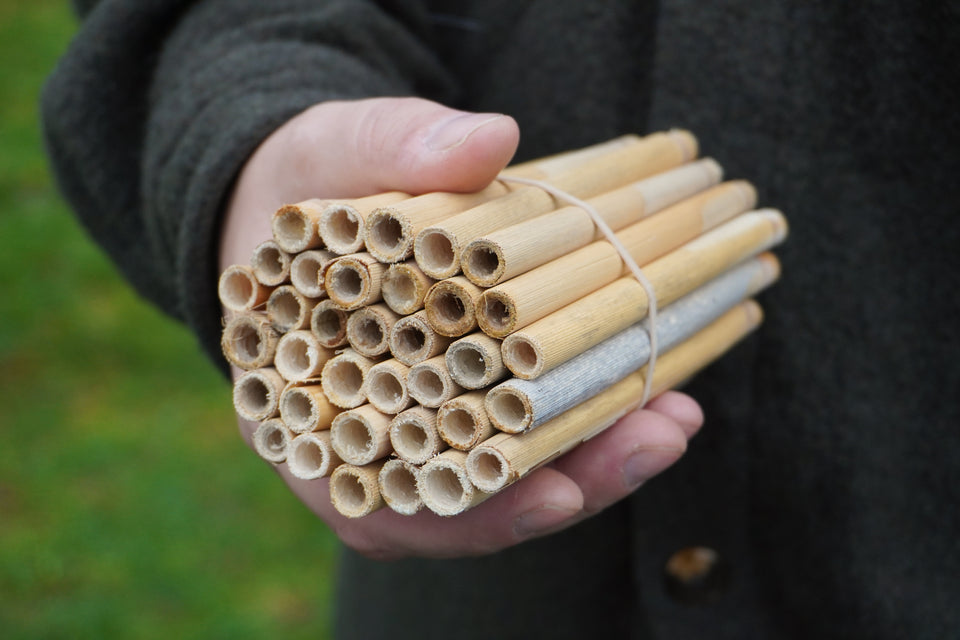 Large Natural Reeds (36)