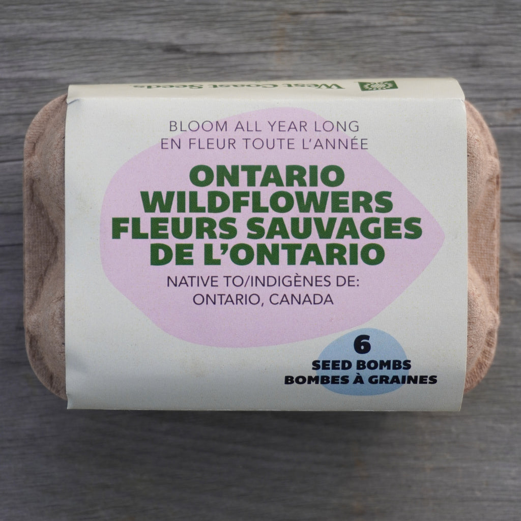 ontario wildflower seeds Bloom All Year Long (Ontario Native Wildflowers) – West Coast Seeds