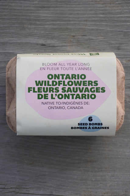 Bloom All Year Long (Ontario Native Wildflowers)