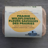 Big Skies, Big Blooms (Prairie Native Wildflowers)