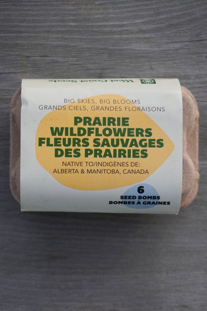 Big Skies, Big Blooms (Prairie Native Wildflowers)