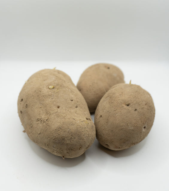 Sieglinde Organic