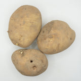 Kennebec Organic