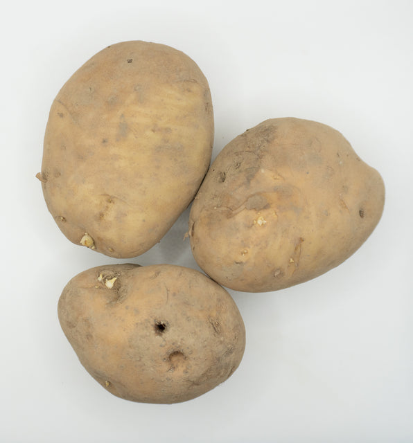 Kennebec Organic