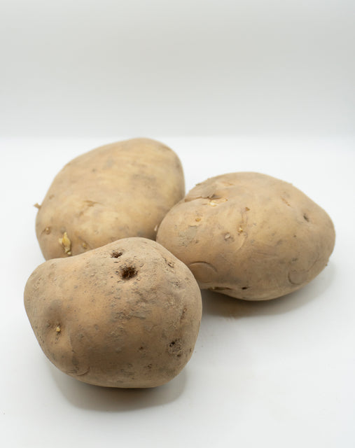 Kennebec Organic