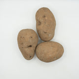 GemStar Russet Organic