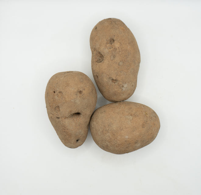 GemStar Russet Organic