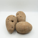 GemStar Russet Organic