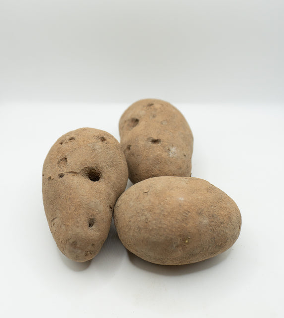 GemStar Russet Organic