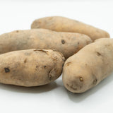 La Ratte Fingerling Organic