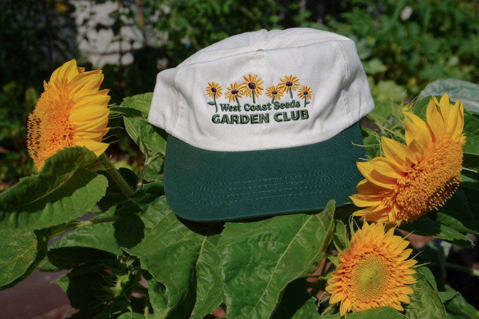 plant seeds cap Garden Club