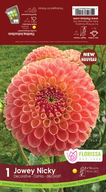 Dahlia Jowey Nicky 1/pk