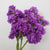 Katz Lavender blue