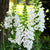 Dalmation White F1