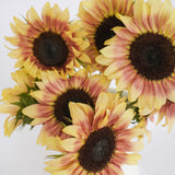 cherry rose sunflower seeds Cherry Rose F1 – West Coast Seeds