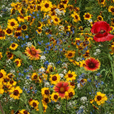 Bee Garden Blend