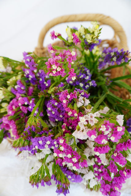 Semi Di Statice Pacific Mix - Confezione Da 0.5g Per Fiori Secchi - Foto 7