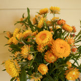 Golden Yellow