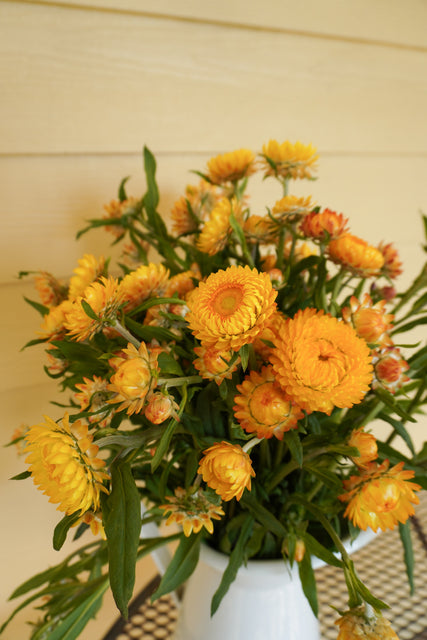 Golden Yellow