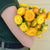 Golden Yellow